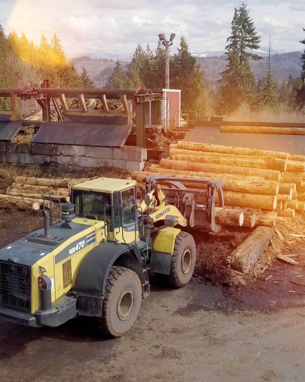 A bulldozer moving tree trunks.